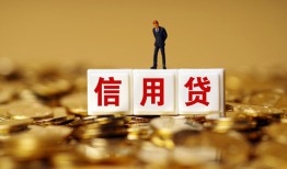 东莞快速哪有个人借贷-东莞快速小额贷款公司-东莞快速私借空放免费上门