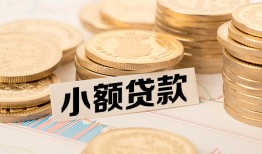 东莞快速身份证贷款平台-东莞快速私人借贷不查征信-东莞快速空放借钱